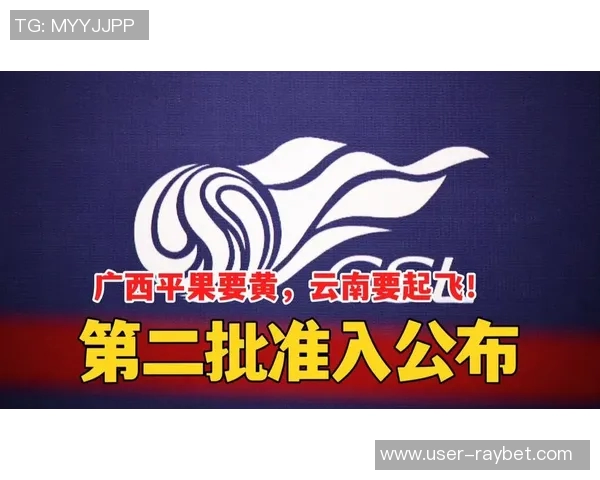 中足联公布41队首批完成准入债务清偿名单暂无国安西海岸海牛等球队参与